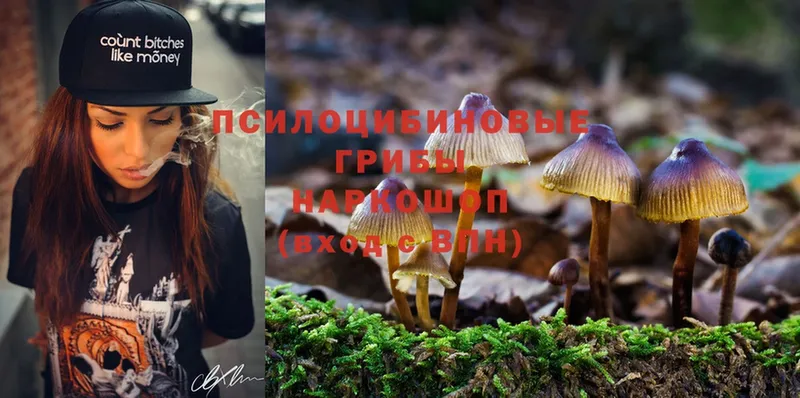 Галлюциногенные грибы Cubensis  omg ССЫЛКА  Апатиты 